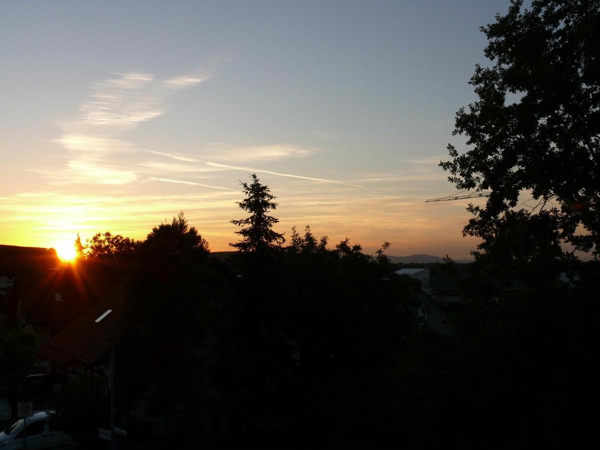 Leiselheimer Hof Sasbach am Kaiserstuhl Buitenkant foto